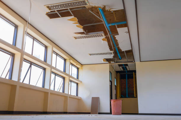 Best Commercial water damage restoration  in Mountain View, AR