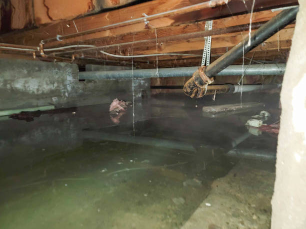Best Flooded house restoration  in Mountain View, AR