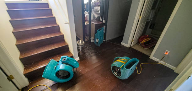 Best Water damage restoration experts  in Mountain View, AR