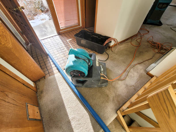 Best Local water damage restoration  in Mountain View, AR