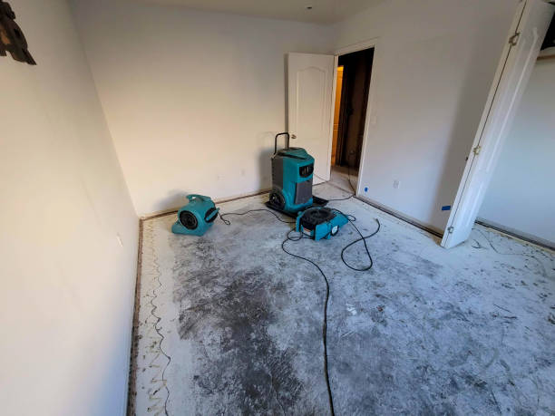  Mountain View, AR Water damage restoration Pros
