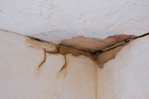 Best Carpet water damage restoration  in Mountain View, AR