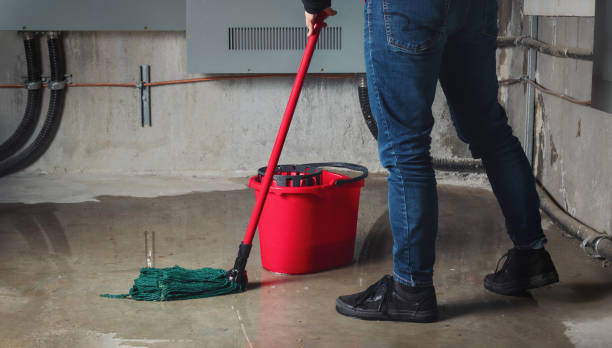 Best Water damage repair service  in Mountain View, AR