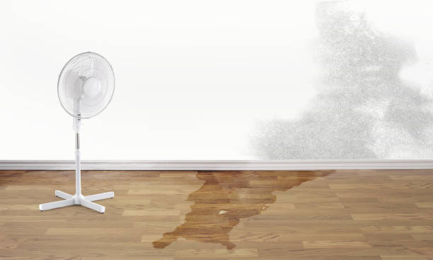 Professional Water damage restoration in AR