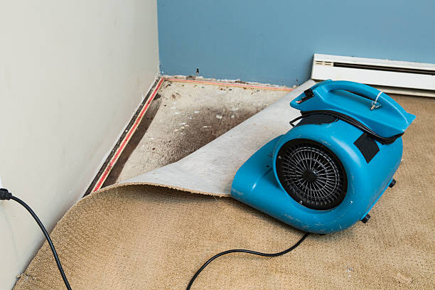 Best Flood restoration services  in Mountain View, AR